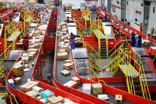 教育科技领域的新探索 解码1980211736的一周动态